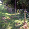 Galvanized Prevent Wire Farm Field Fence